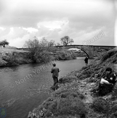 Fishing, River Nidd, Cattal Bridge
